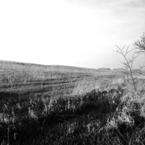 Who Will Be Our House Builder: Should We Hire a Contractor or Build Ourselves? Image